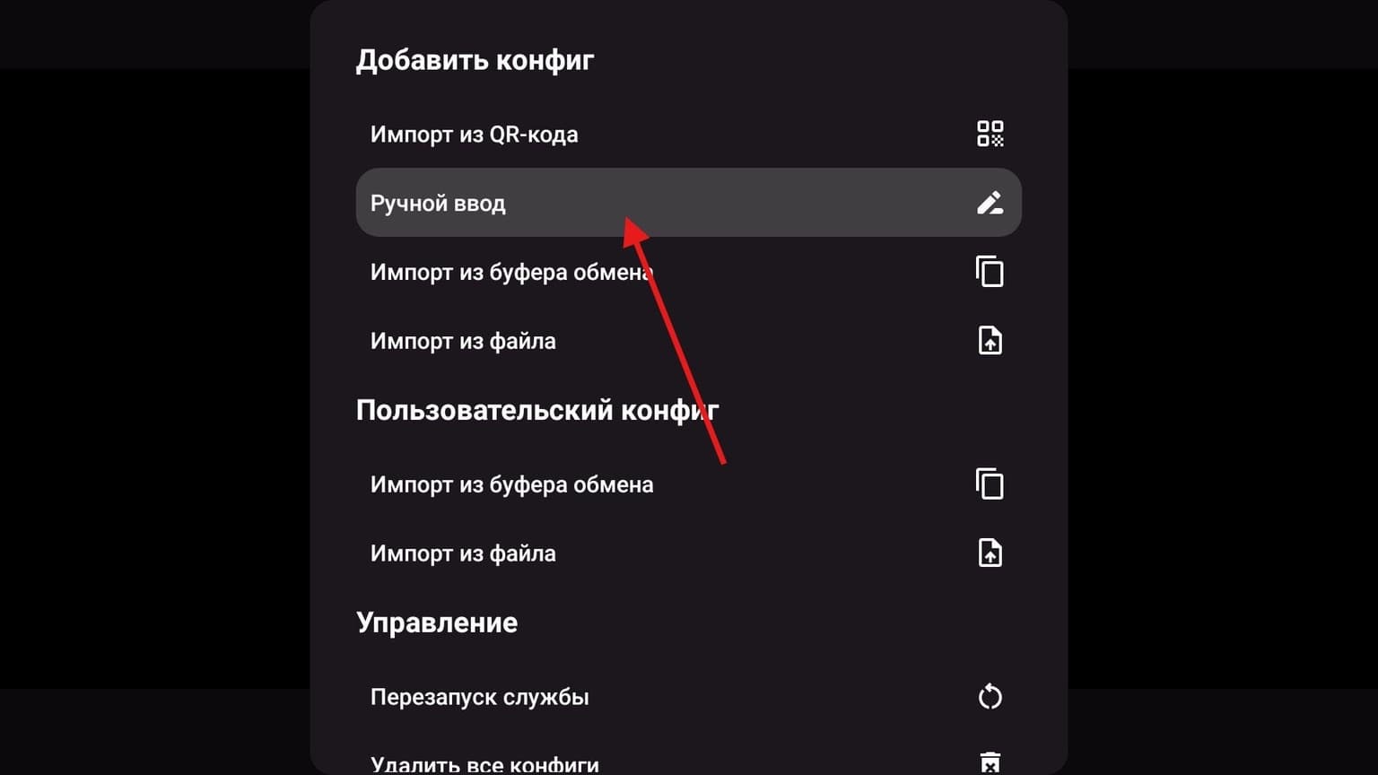 Скриншот: VpnEasy — v2RayTUN вставка конфига